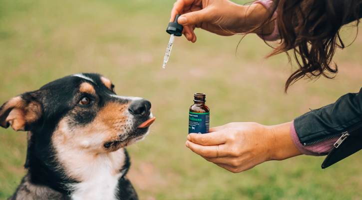 Dog with Drops Dog with Drops