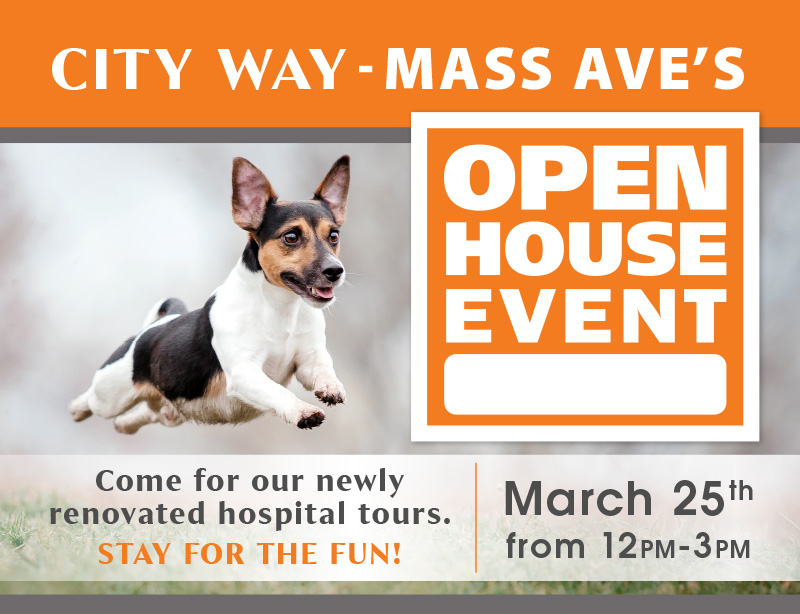 Home | City Way Animal Clinics Home | City Way Animal Clinics